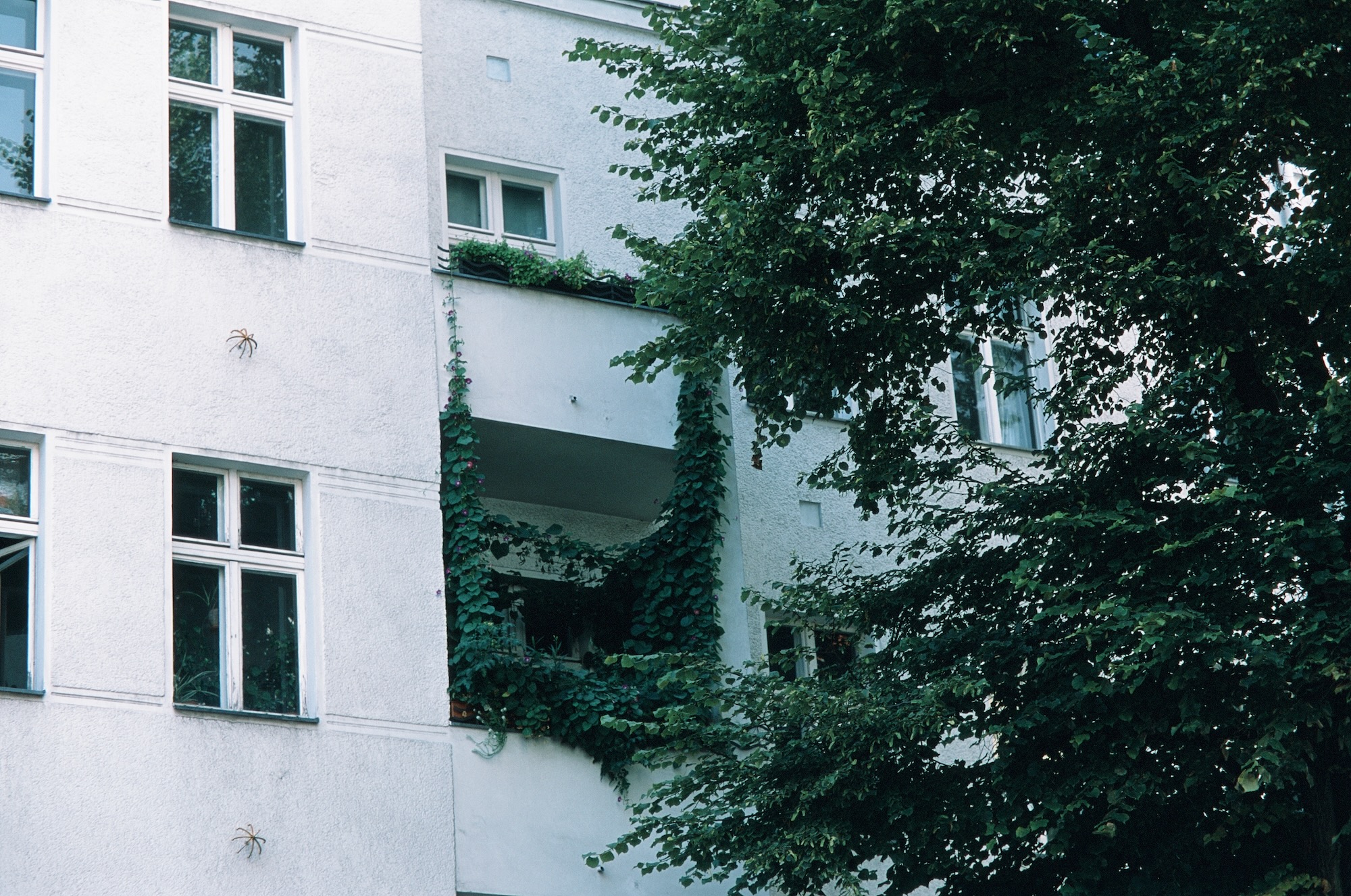 Berlin Jungle 