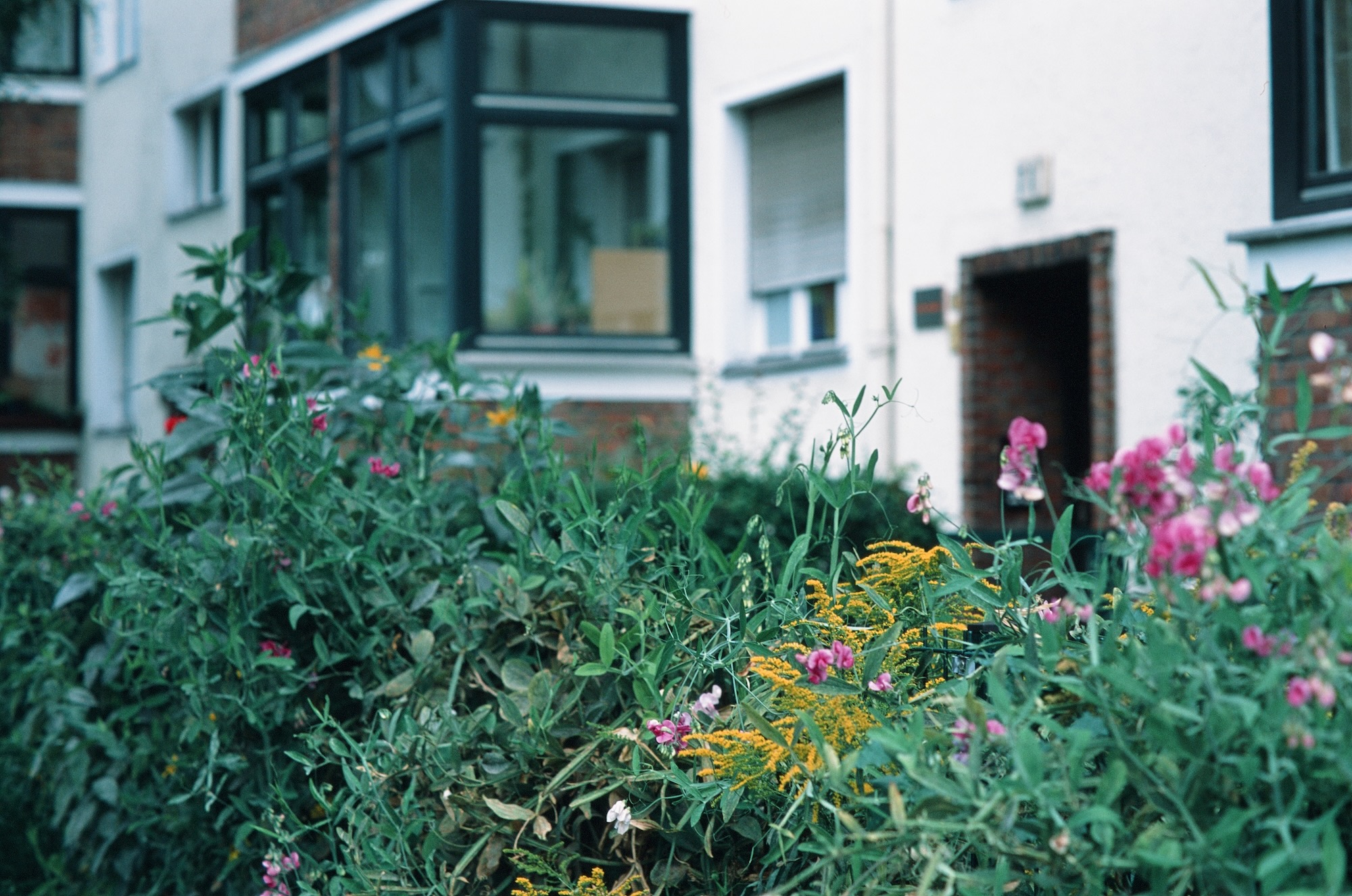 Berlin Jungle 