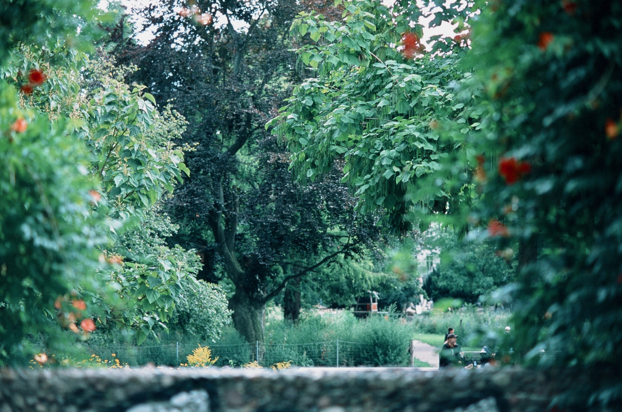 Berlin Jungle 