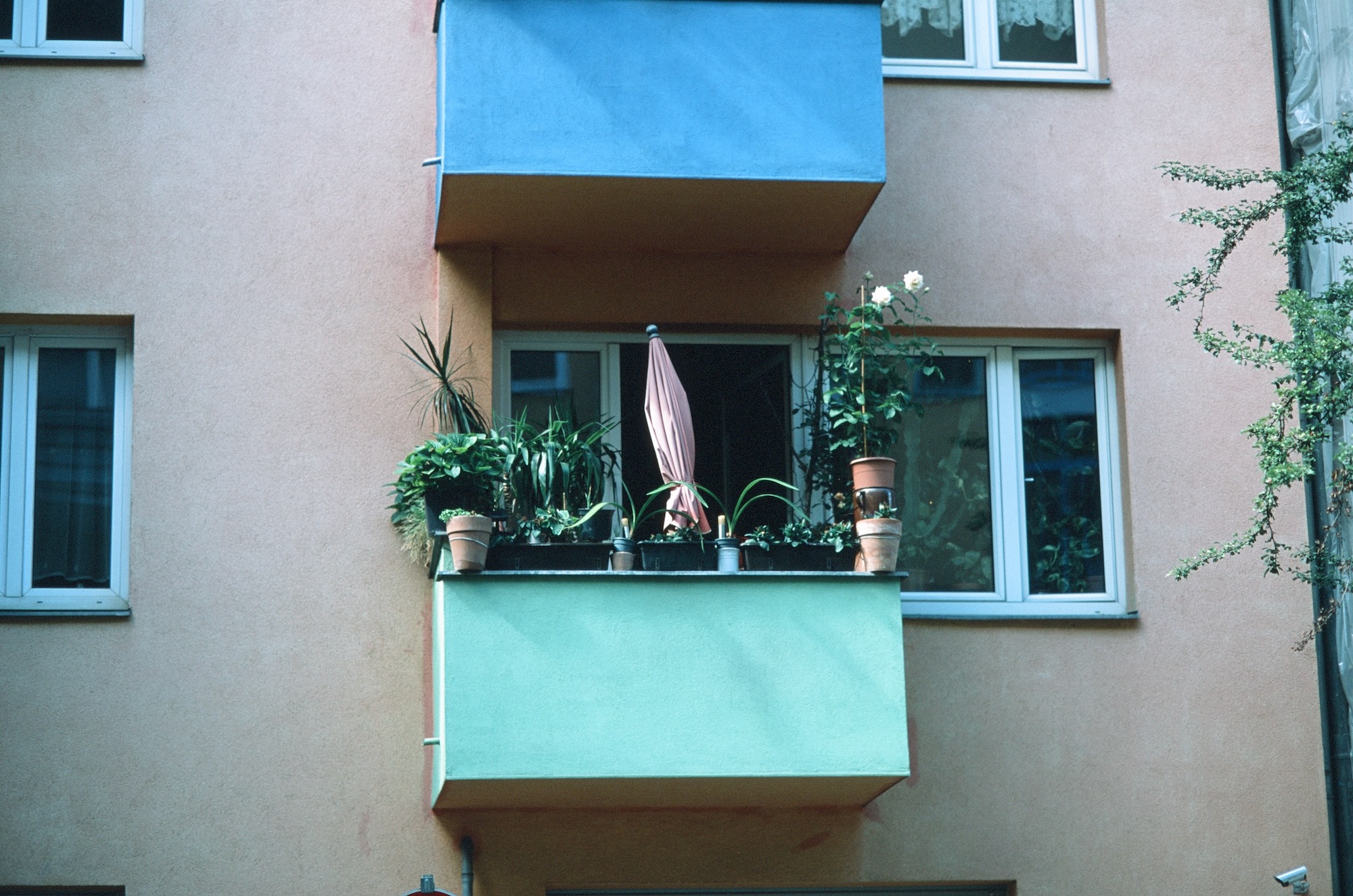 Berlin Jungle 